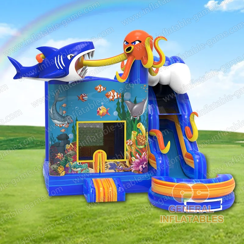 Whale Water Slide