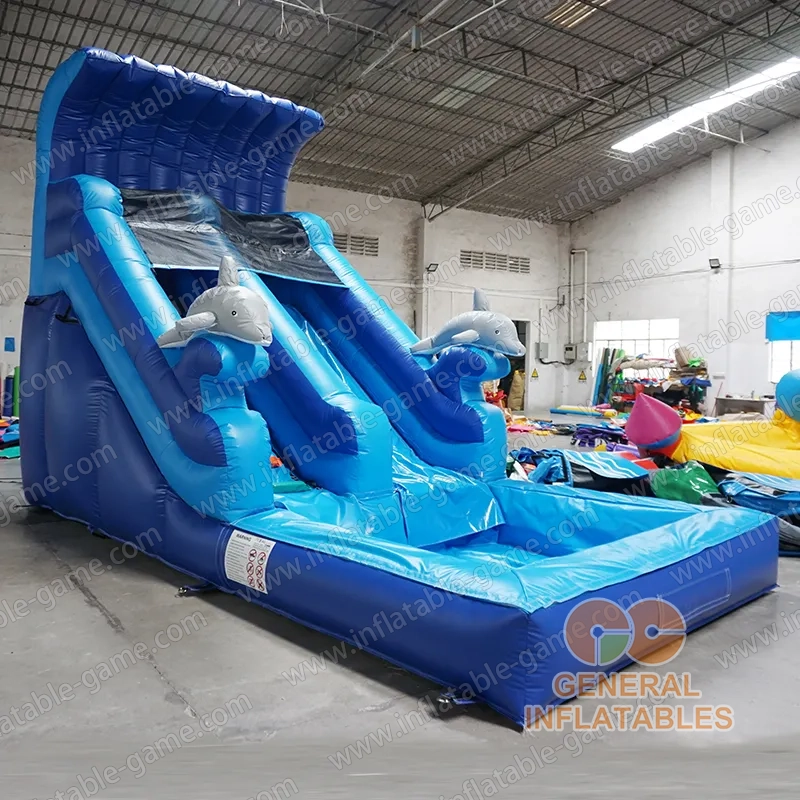 Dolphin water slide